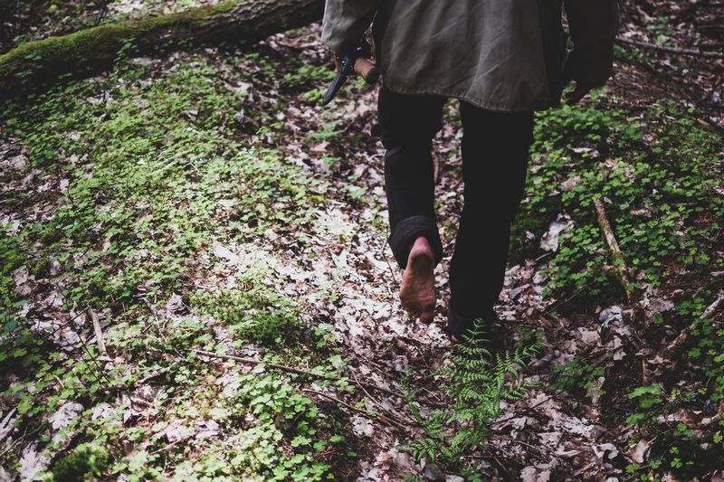Nahaufnahme einer Person, die barfuß über einen moosbedeckten Waldboden geht.