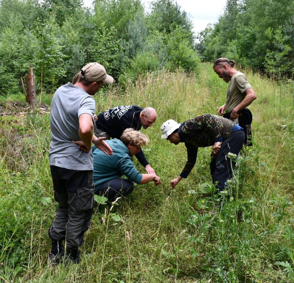 Eine fünfköpfige Gruppe, angeleitet von einem Wildnispädagogen, beugt sich konzentriert über eine Pflanze am Boden in einer Waldlichtung, um Flora und Spuren im Kobernaußerwald gemeinsam zu entdecken.