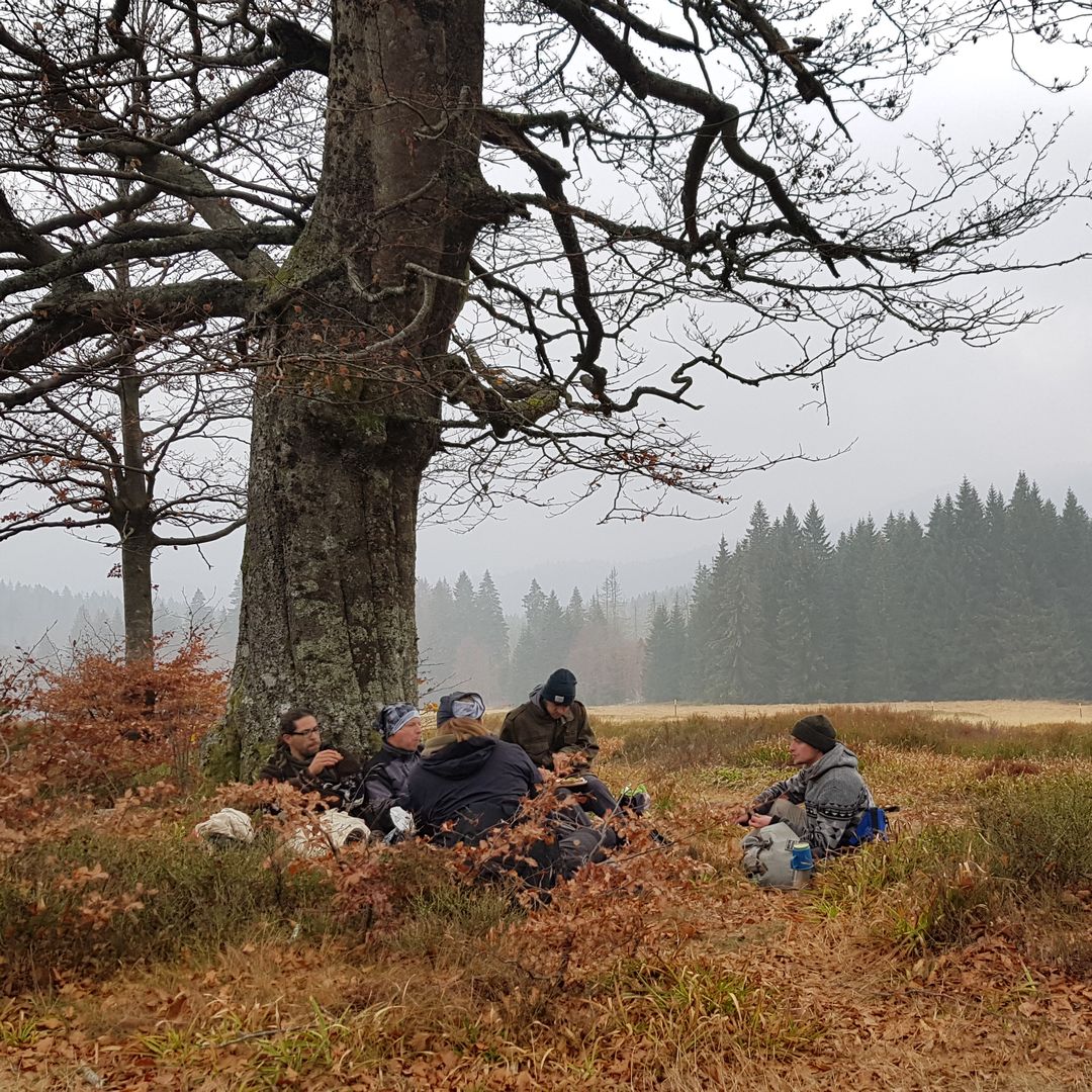 Fünf Personen sitzen entspannt im Kreis im trockenen Gras unter einer mächtigen alten Buche am Waldrand, im Hintergrund neblige Nadelwälder während eines Gruppenausflugs im Kobernaußerwald.