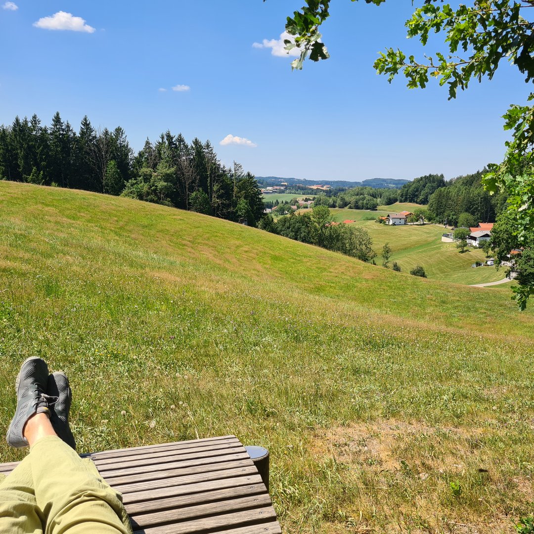 Blick von einer Holzliege auf einer grünen Anhöhe über eine hügelige Landschaft mit Wiesen, Bauernhöfen und dem waldübersäten Horizont des Innviertels.