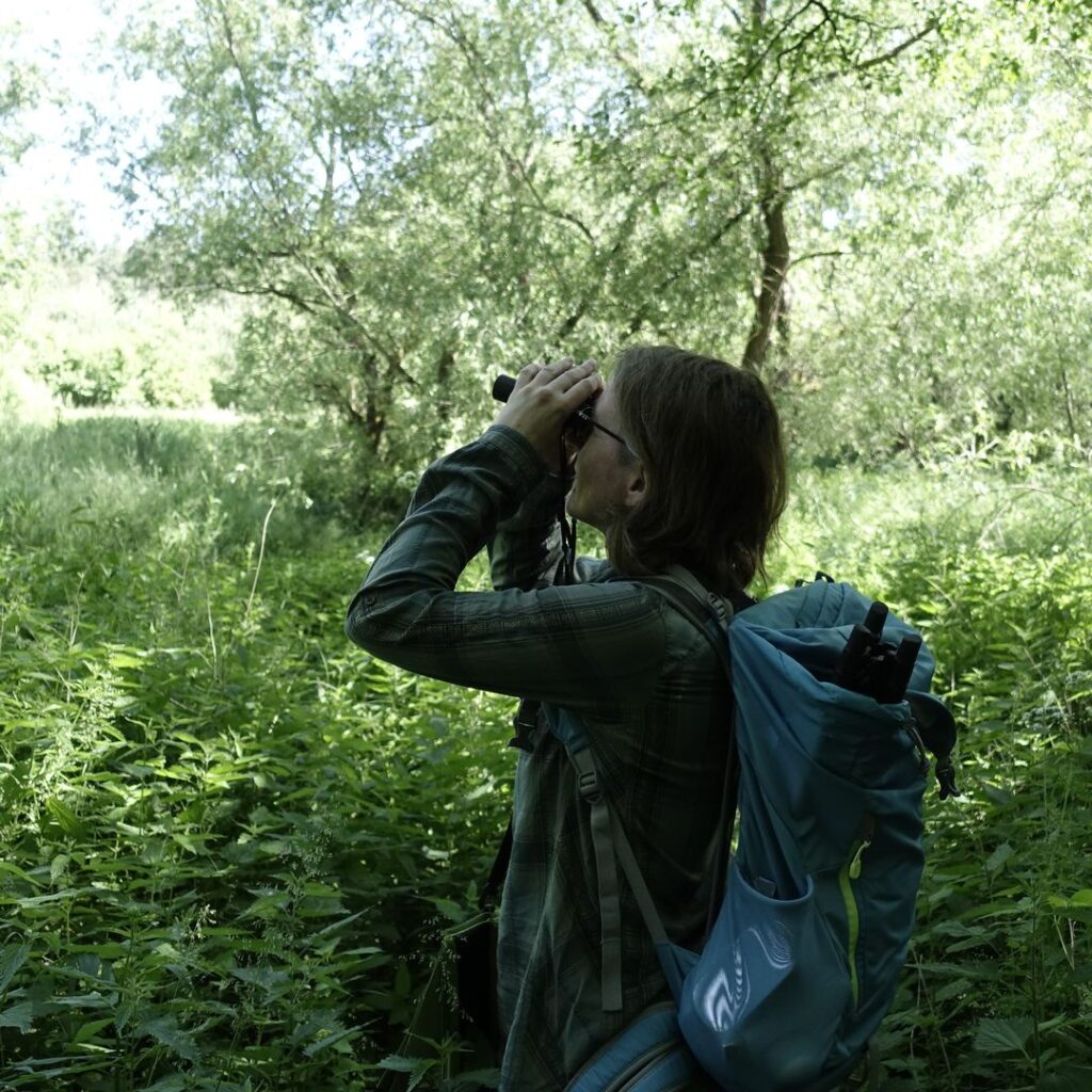 Eine Frau mit Rucksack steht im dichten, grünen Unterholz am Waldrand und blickt konzentriert durch ein Fernglas in die Baumwipfel.