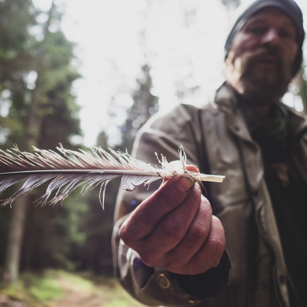 Ein Erwachsener hält im Wald achtsam eine Vogelfeder in der Hand und zeigt sie in die Kamera.